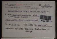 Image Associated With the Occurence